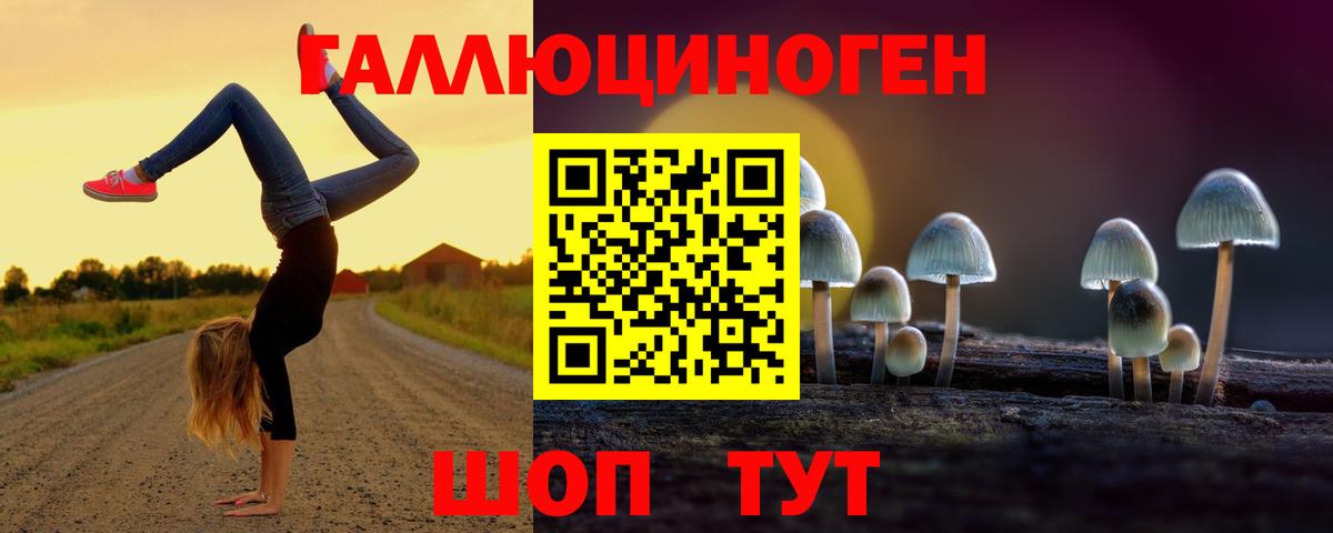 Псилоцибиновые грибы прущие грибы  Вход с VPN  Хабаровск 